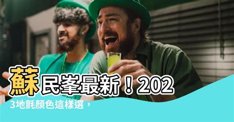 2023 地氈顏色